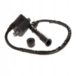 Ignition coil with bent pipe yamaha raptor grizzly rhino 660