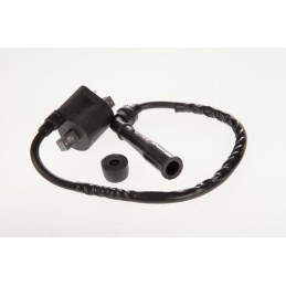 Ignition coil with bent pipe for Yamaha 660 Suzuki