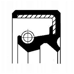 Corteco sealant 19034943b 30x45x6 acm tc