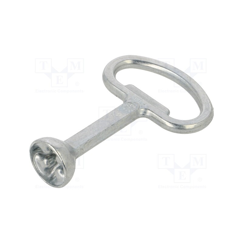 1 pcs x RITTAL - 2549.6 - Key