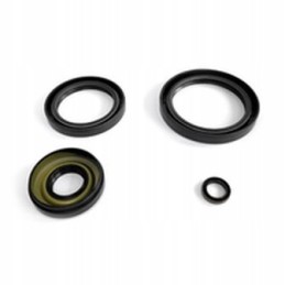 Front differential seals for Kawasaki Brute Force 650