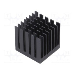 1 pcs x Advanced Thermal Solutions - ATS-55250W-C1-R0 - Heatsink: extruded, grilled, BGA, black, L: 25mm, W: 25mm, H: 24.5mm