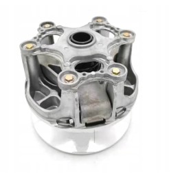 Polaris RZR 1000 variator