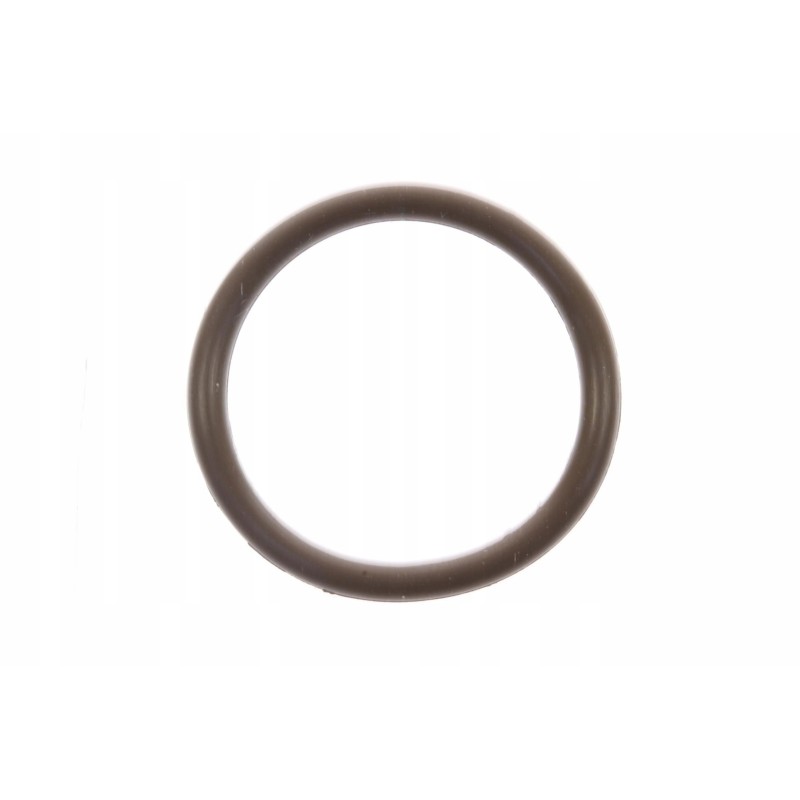 O-ring for the lower timing tensioner oem can am ski doo