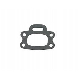 Gasket 420850638