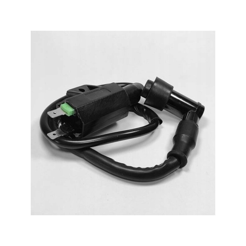 Ignition coil Kawasaki Praire KVF 360 21121 1160 21121 1198