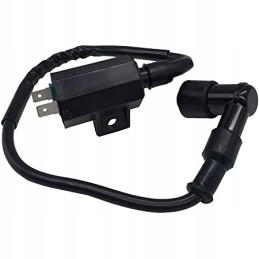 Ignition coil Kawasaki Praire KVF 360 21121 1160 21121 1198