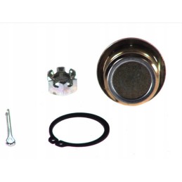 Allballs lower wishbone pin for yamaha 350 grizzly