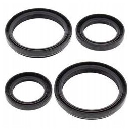 Differential seals front Articcat rear Kymco