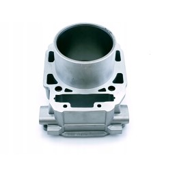 Cylinder rear can am outlaner commander 1000