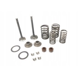 Intake exhaust valves set 110 154fmb zipp pro