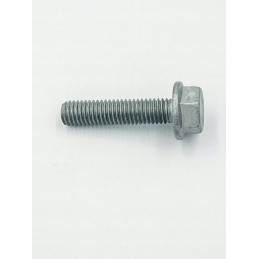 Hexagonal screw m8x35 420840090