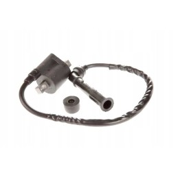 Ignition coil set yamaha raptor grizzly rhino 66