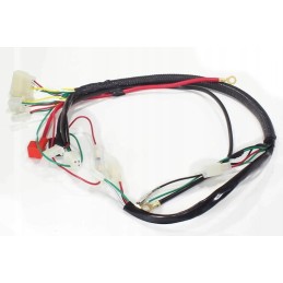 Electrical installation cross 125 250cc