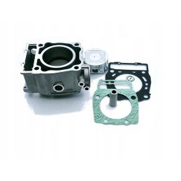 Cylinder piston seals Polaris Magnum Worker 500