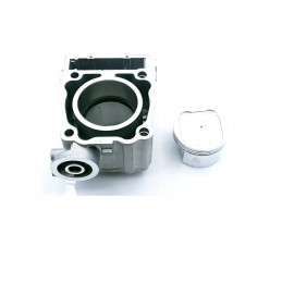 Cylinder piston seals Polaris Magnum Worker 500