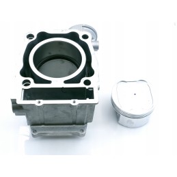 Cylinder piston seals Polaris Magnum Worker 500