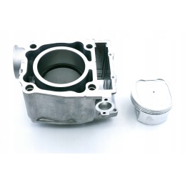 Cylinder piston seals Polaris Magnum Worker 500