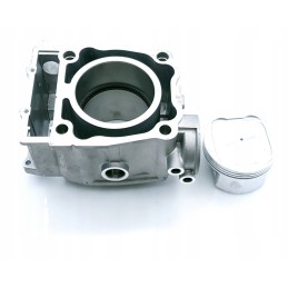 Cylinder piston seals Polaris Magnum Worker 500