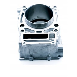 Cylinder piston seals Polaris Magnum Worker 500