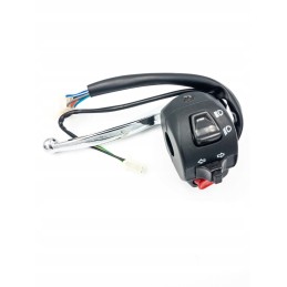 Set of left lever switches b10 d060000