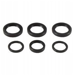 Front differential seals for Polaris 300 to 800