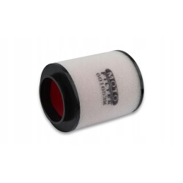 Honda trx 420 air filter