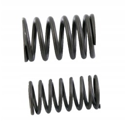 Valve springs bashan bs150s 2 romet atv150