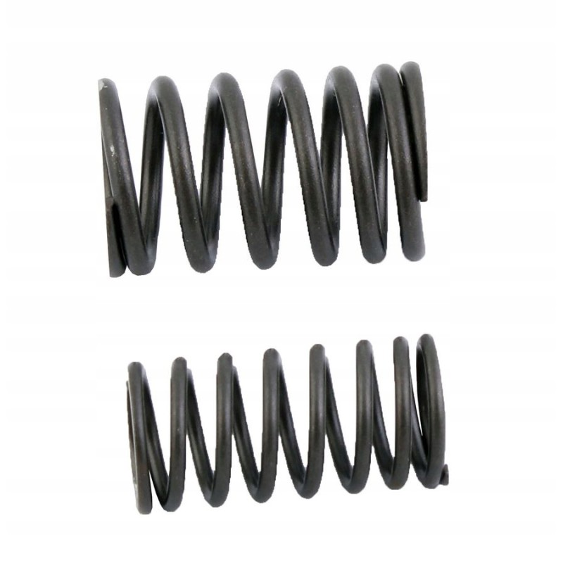 Valve springs bashan bs150s 2 romet atv150