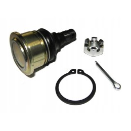 Lower kingpin yamaha grizzly 700 550