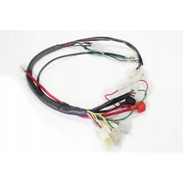 Electrical wiring harness cross enduro 125 250 cc