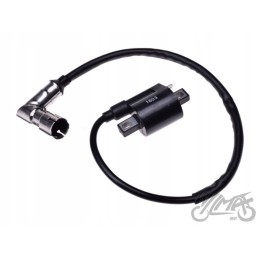 Ignition coil for ATV200