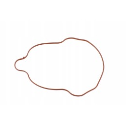 Valve Cover Gasket OEM Polaris Ranger 700 800 RZR 800 5412836