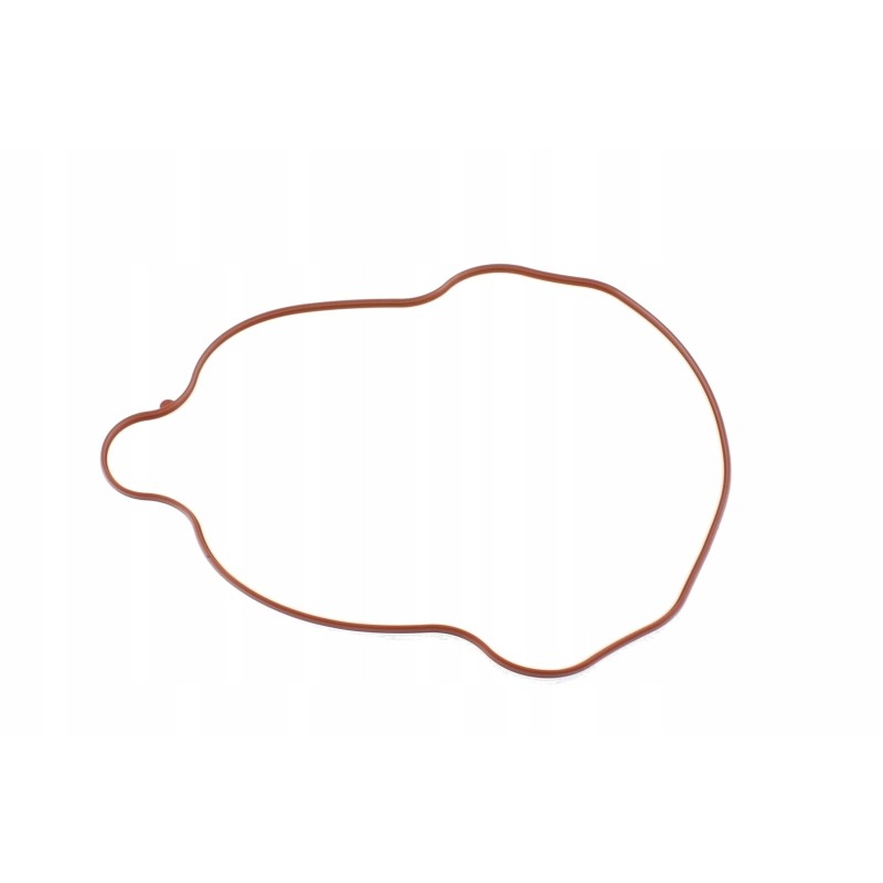 Valve Cover Gasket OEM Polaris Ranger 700 800 RZR 800 5412836