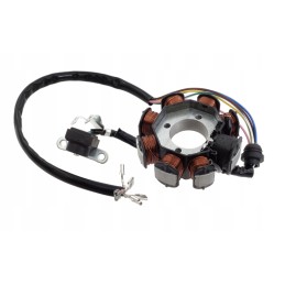 ATV Bashan 200 250 magneto