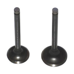 Exhaust intake valve atv 110 kingway set