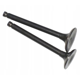 Exhaust intake valve atv 110 kingway set