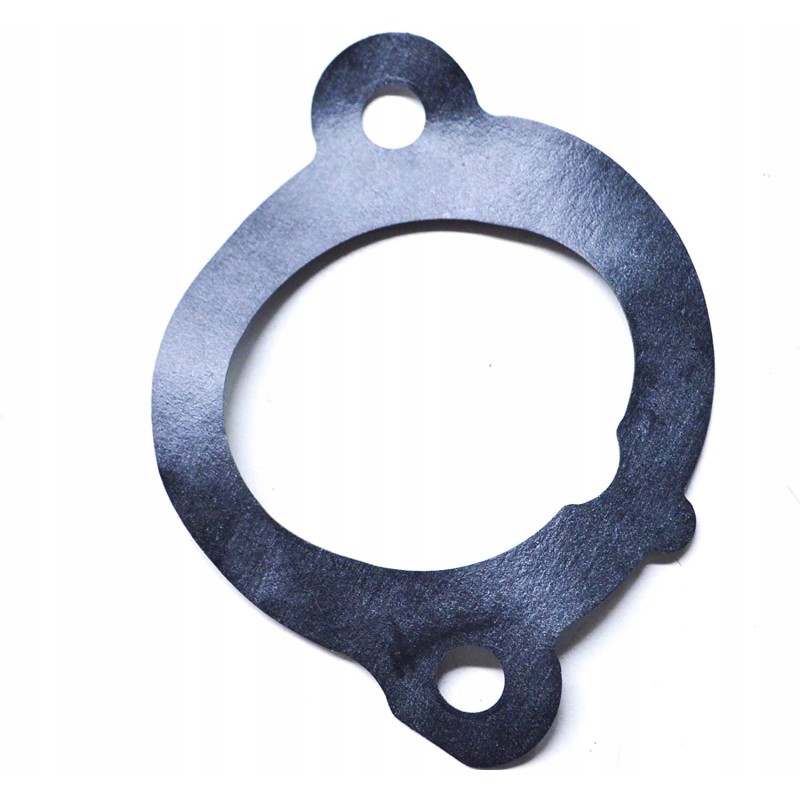Polaris 550 intake manifold gasket