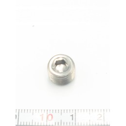 Sea doo brp diff oil drain plug 211500001