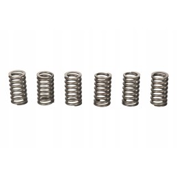 Clutch spring 6 pcs atv quad 150 200 250 bashan