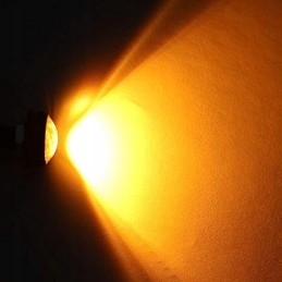 Direction indicator, orange light, 12 LED eyes