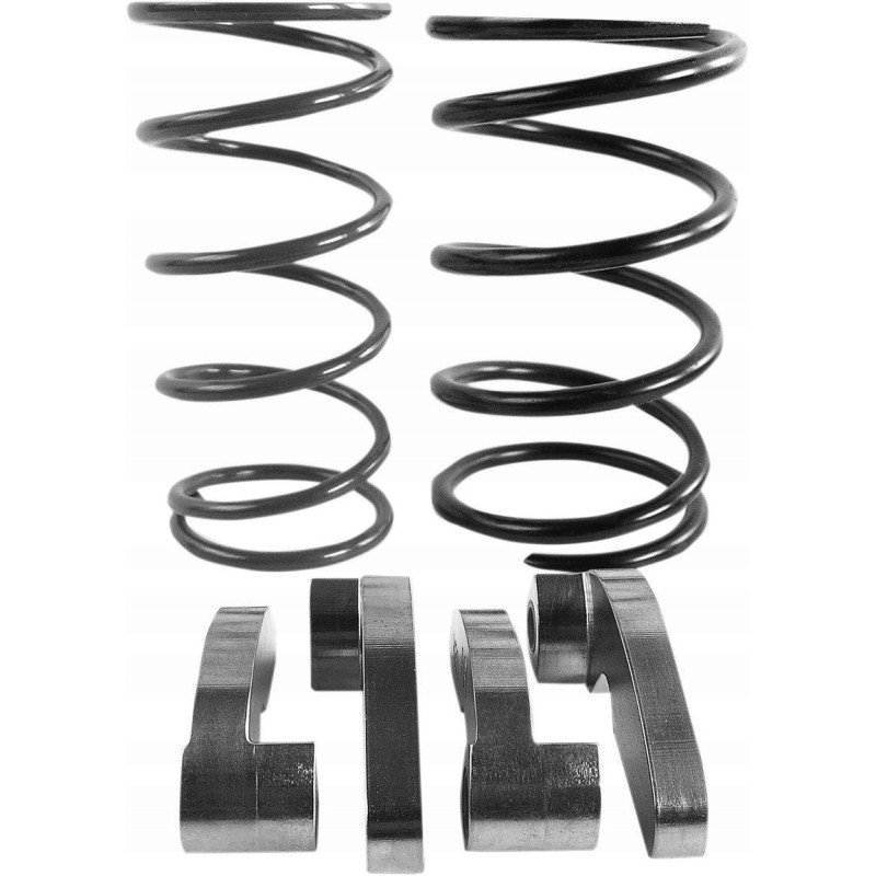 Kawasaki epi aw443154 clutch kit