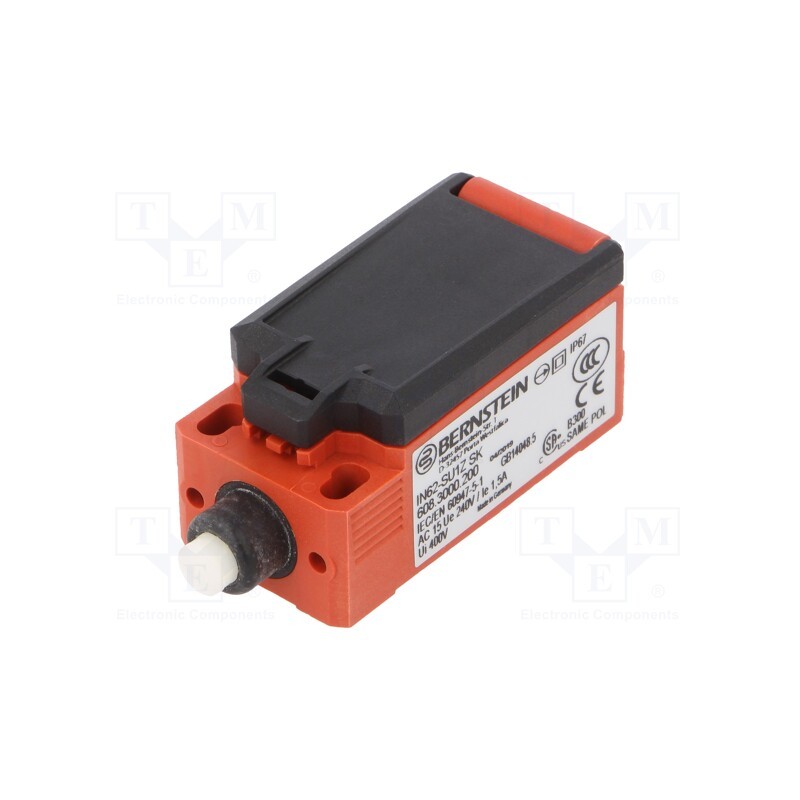 1 pcs x BERNSTEIN AG - IN62-SU1Z SK - Limit switch, NO + NC, 5A, max.240VAC, max.24VDC, M20, IP66