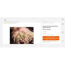 Osram H7 Classic 12V 55W Super White Bulb