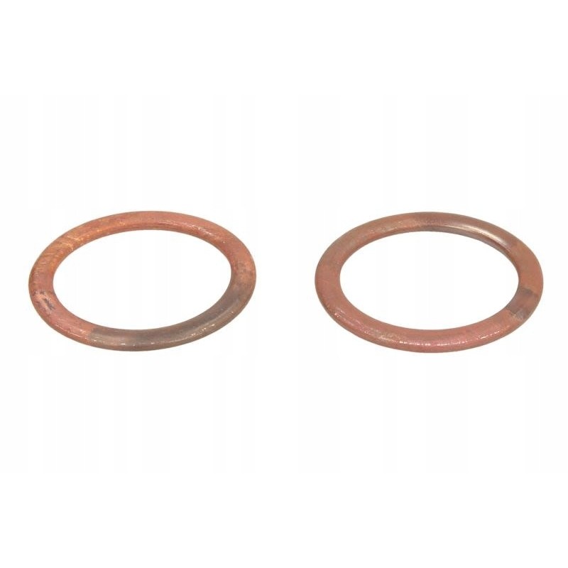 Winderosa exhaust pipe seal ring W823006