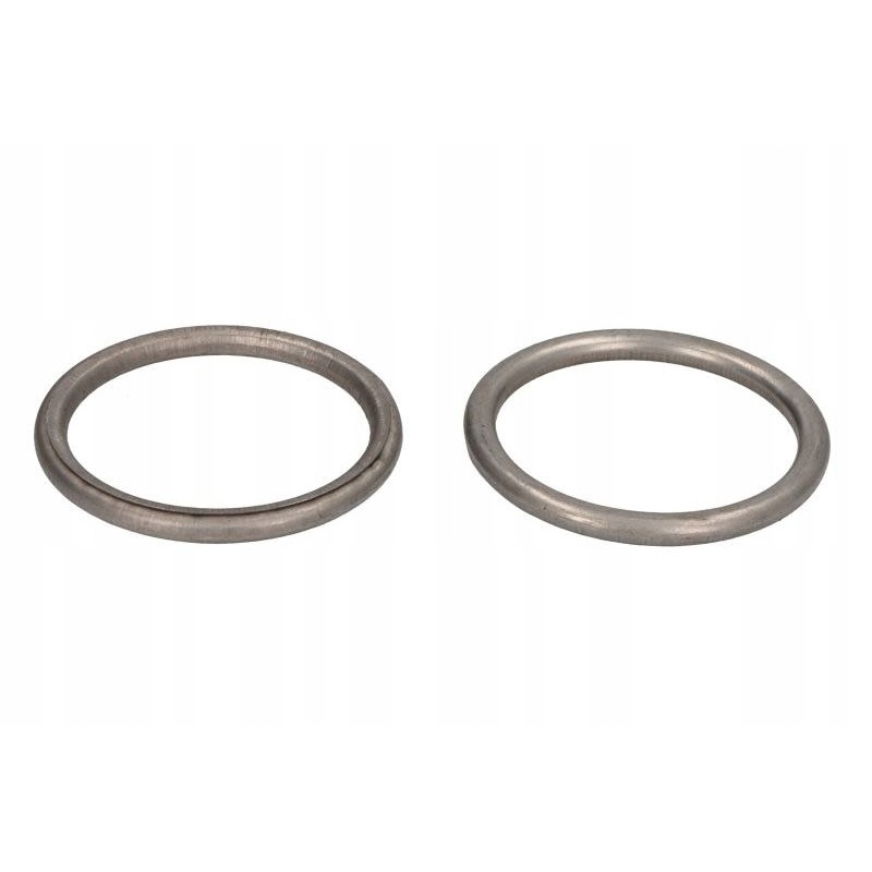 Winderosa exhaust pipe seal ring W823011