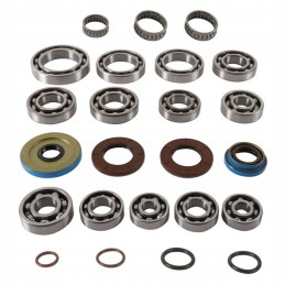 Polaris RZR 900 gearbox repair kit