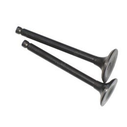 Kinroad benzer 70 75cm3 valve valves gole 139 fmb