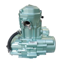 Engine 250 cc liquid quad bashan 167fmm original