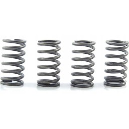 Clutch springs suzuki lt f 400 eiger king quad